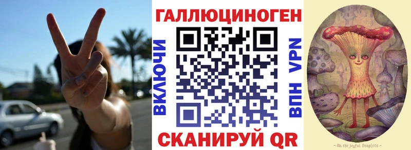 Псилоцибиновые грибы Magic Shrooms  Купить закладки  Каменногорск 